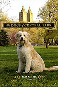 dogs central park